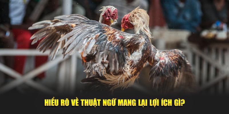 Hiểu rõ về thuật ngữ mang lại lợi ích gì?